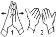 Palms together, fingertips up, then 'open' your hands, thumbs leading, to display the contents.