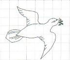 small dove sketch with grid