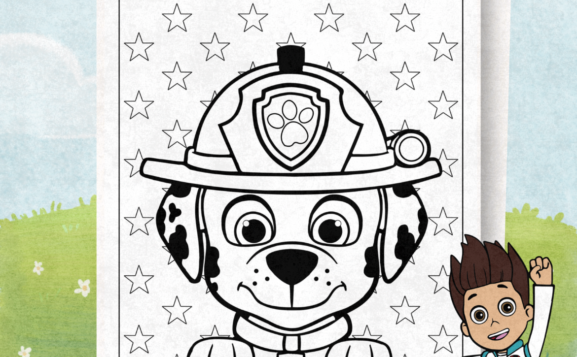 Paw Patrol Marshall