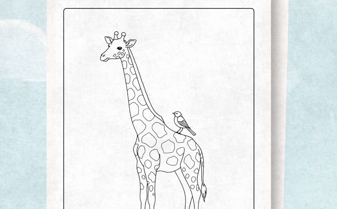 Giraffes