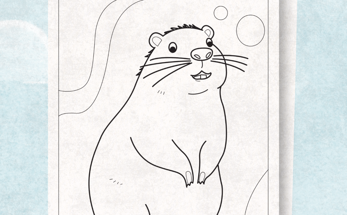 Groundhog