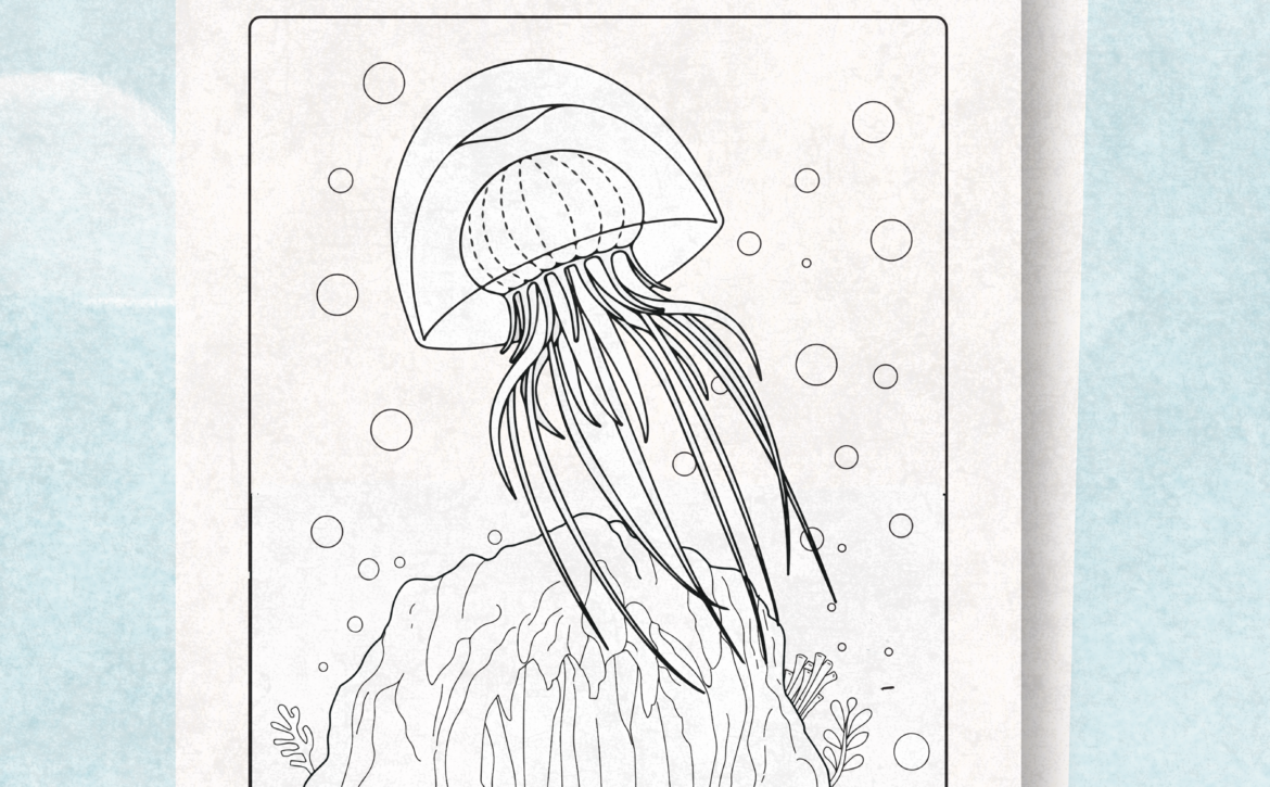 Jellyfish