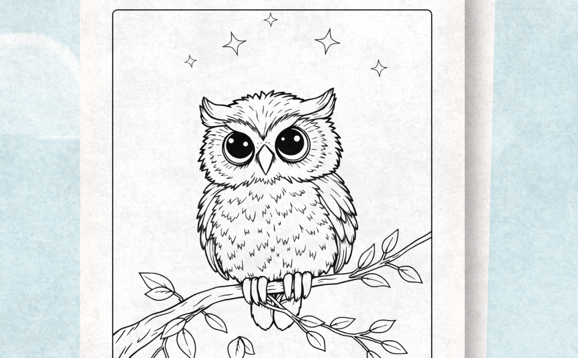 Owl