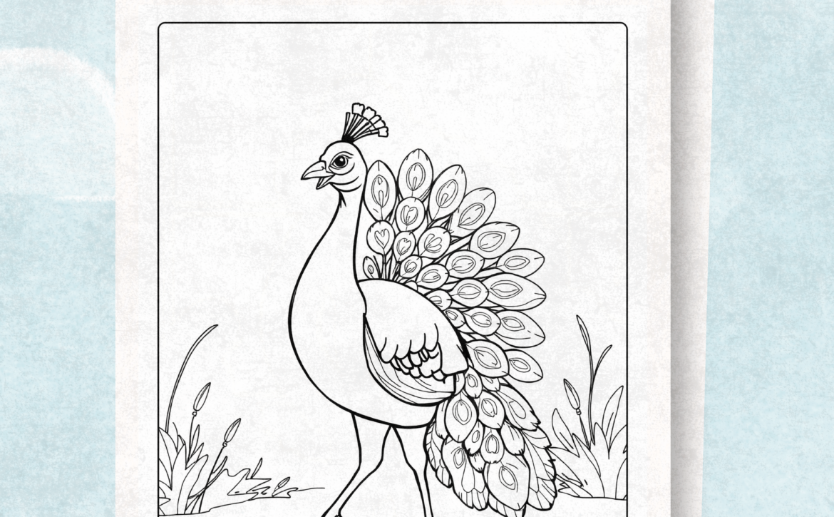 Peacock