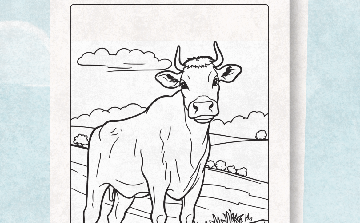 Cows