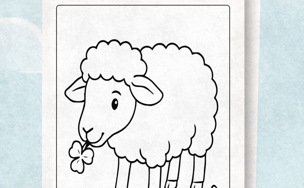 Sheep