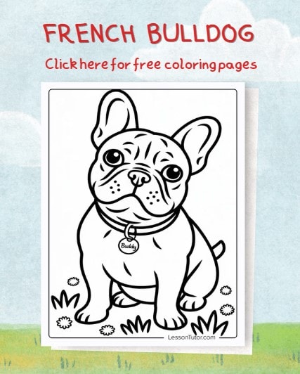Free French Bulldog Featured Image