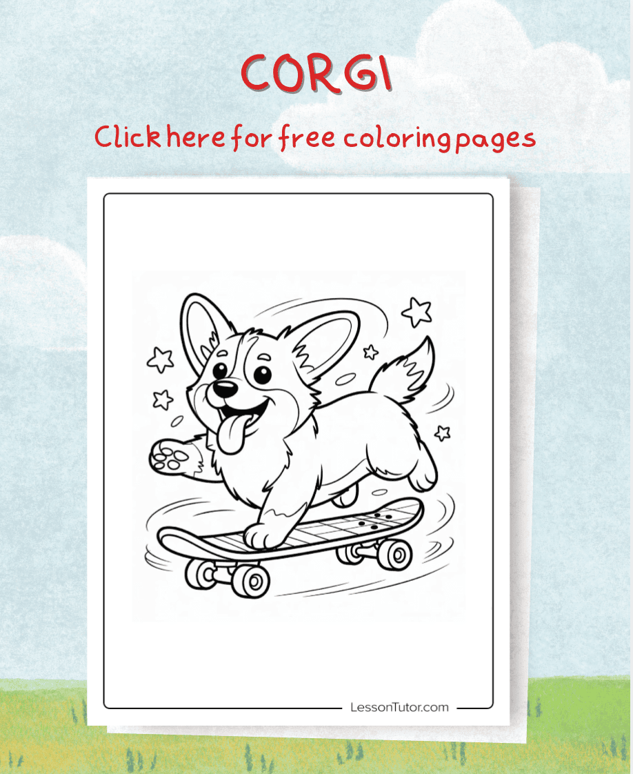 Free Corgi Coloring Pages