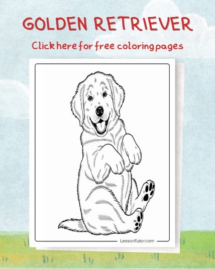 Free Golden Retriever Featured Page
