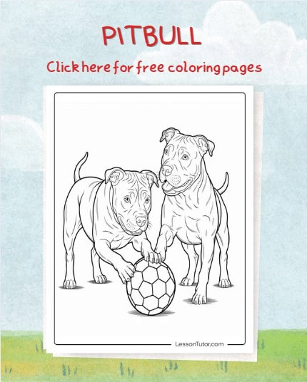 Free Pitbull Featured Image